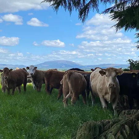 アパート Gooig Getaway