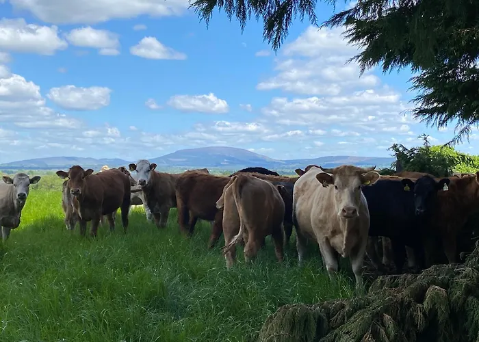 Apartment Gooig Getaway